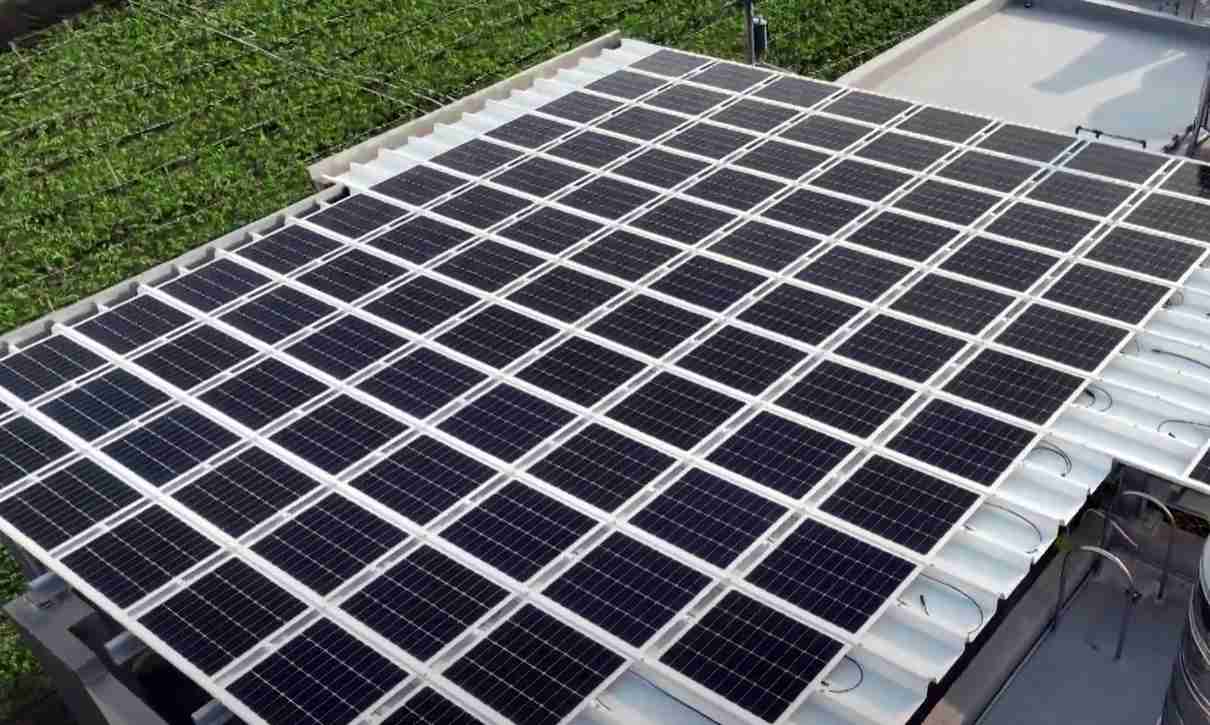 红龙扑克SunSteel光电浪板升级双玻结构，，以提升机械负载强度及气候耐候度，，可广泛运用于多元场域